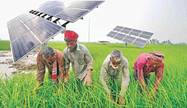 農家の心を掴む太陽光ポンプ バングラデシュの最新情報 ニュース d News