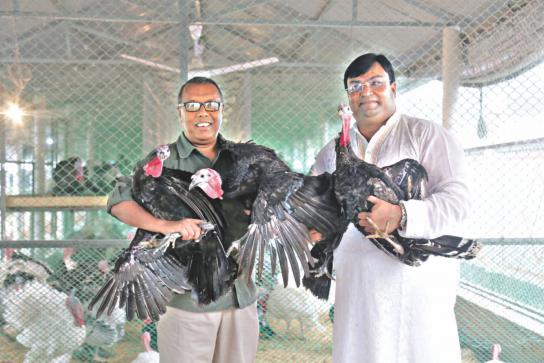 億万長者の七面鳥の農家 バングラデシュの最新情報 ニュース d News