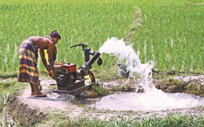 ボロ米栽培の節水技術(前)