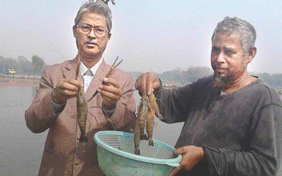 淡水でエビ養殖が成功