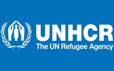 難民の1/3は脆弱：UNHCR