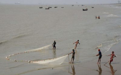 漁師のグループが魚を捕まえる