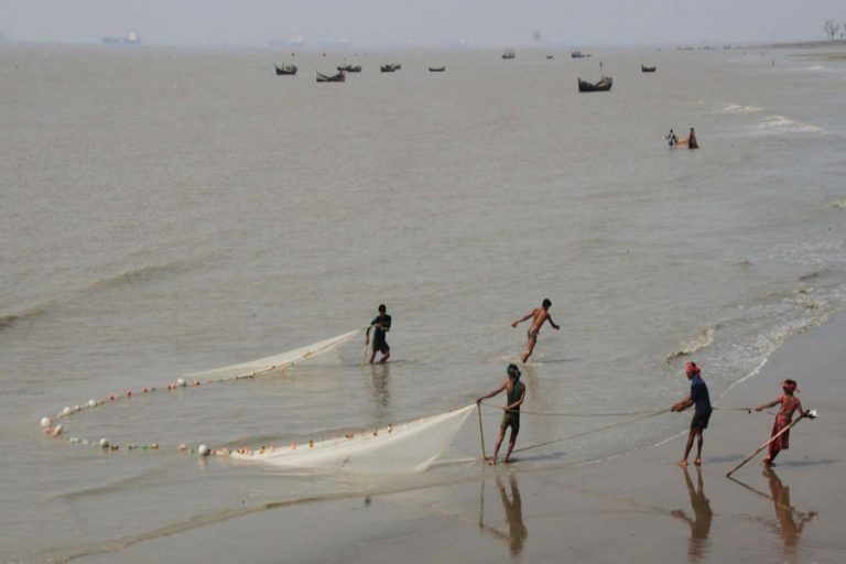 漁師のグループが魚を捕まえる