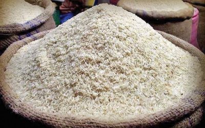 アマン収穫、輸入にもかかわらず米価はさらに上昇する