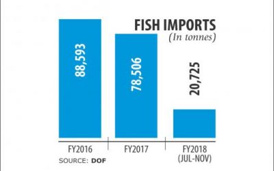 輸入魚の重金属検査