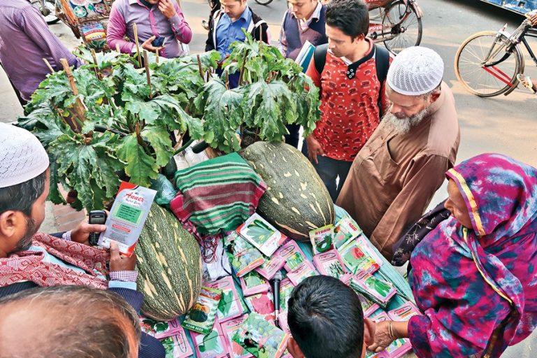 シードベンダーが新鮮な野菜を展示