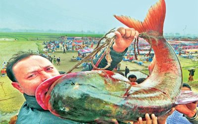 「Poradoho Mela」で巨大な魚を浮かせている人