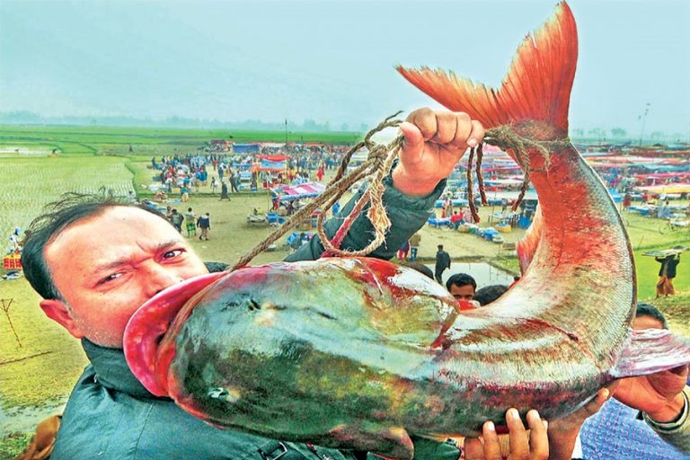 「Poradoho Mela」で巨大な魚を浮かせている人