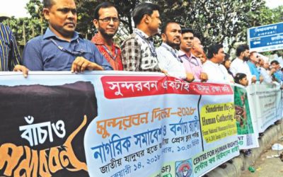 ランパールはSundarbansへの多くの脅威の1つ