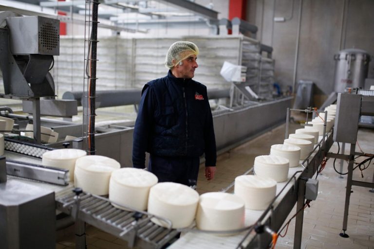 スペインのチーズメーカーは、メキシコに粗盗用を非難