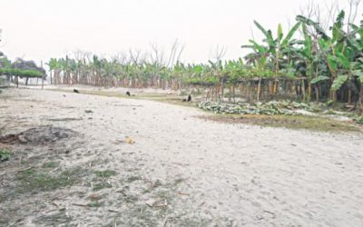 洪水は砂の耕作可能な土地に変わる