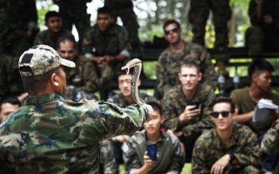 海兵隊員は米国とタイの戦争訓練でコブラの血を飲みます
