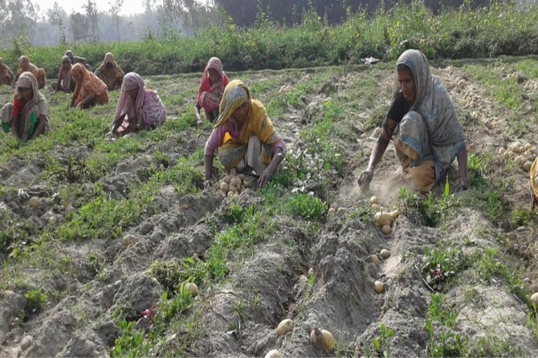 女性労働者はRangpurで賃金差別に直面する