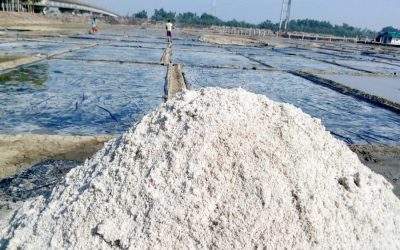 Moheshkhaliで行われている塩生産