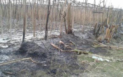 クシュティアの土地200ビーガで火災が発生