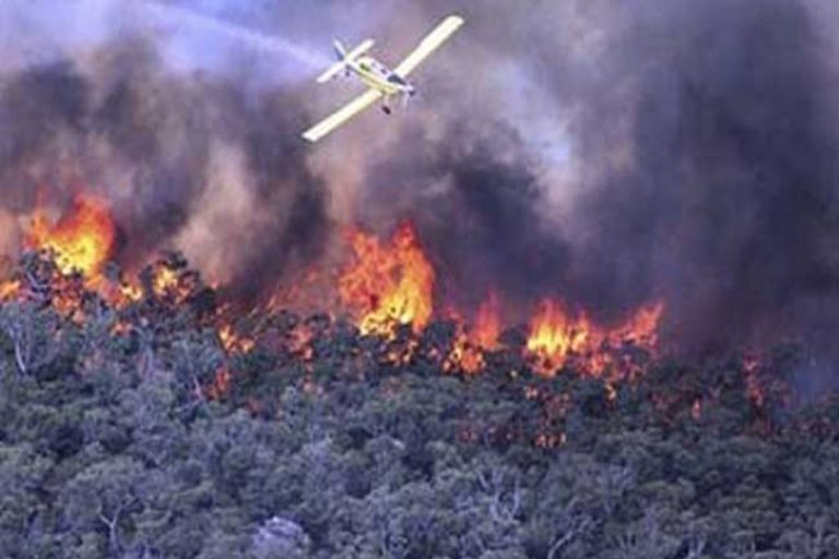 オーストラリアの野火は数十の家を荒らし、家畜を殺す