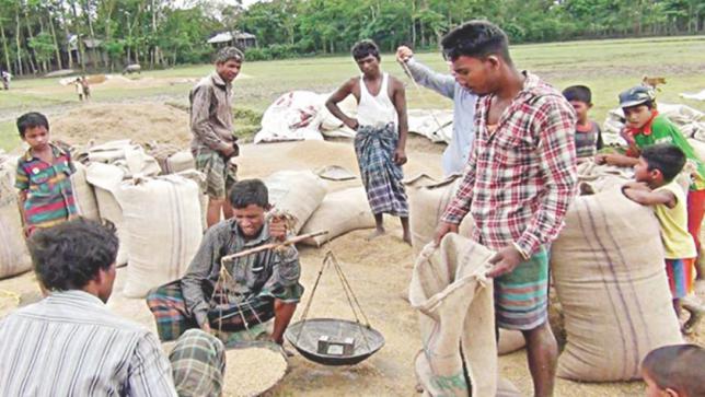 高い収量にもかかわらず損失に直面する農民