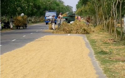 金属化された道路の農家を伐採する農民