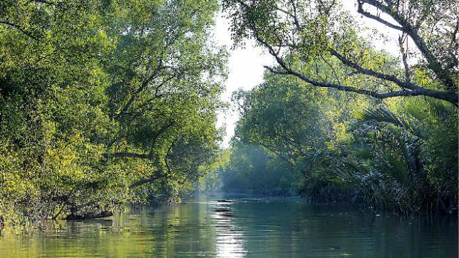 Sundarbans：すべての産業部門を取り消す