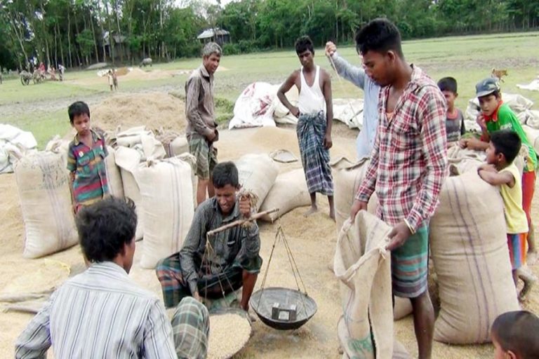 フードディグはSunamganj、Habiganjから9,000トンのBoroを調達する