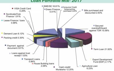 短期借入金、スタンダード・バンクのSMEスネア主要貸付ポートフォリオ