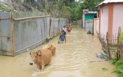 洪水の被害者の不幸に参加する