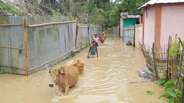 洪水の被害者の不幸に参加する