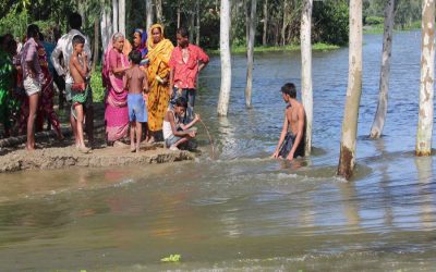 Fraidpur dists、Sirajganjで川の浸食が深刻化