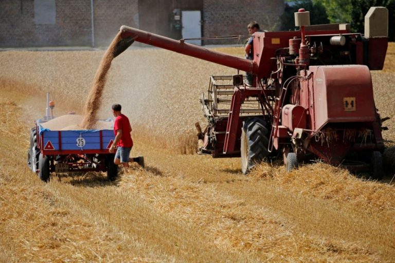 危機レベルへの世界的な小麦供給;大きな中国株式は救済を提供しません