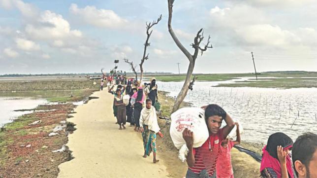 Rohingyasのための援助の驚くべき低下