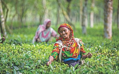 バングラデシュから世界へのお茶のお話