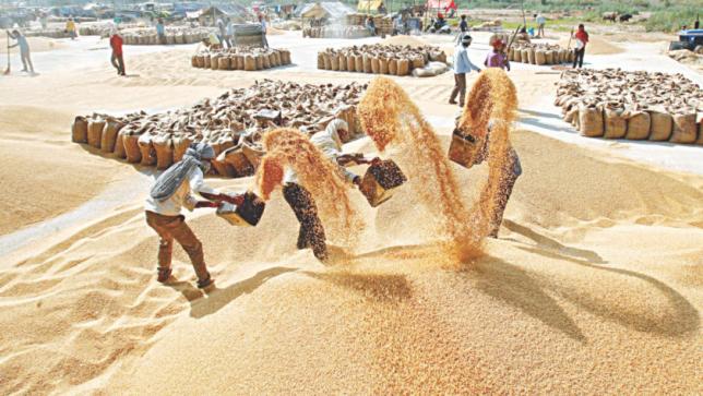 インド、農家の怒りの中で冬作物の支援価格を引き上げる
