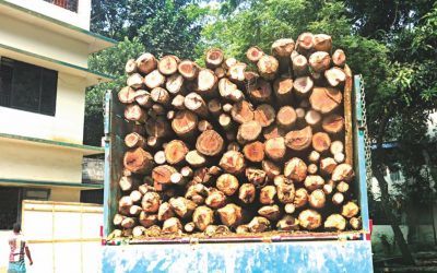 タンガイルに押収された略奪木を持つトラック