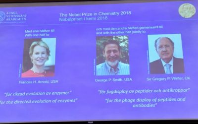 ブリトン、2人のアメリカ人がノーベル化学賞を受賞