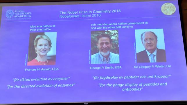 ブリトン、2人のアメリカ人がノーベル化学賞を受賞