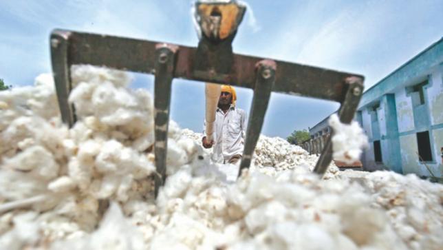 インドの綿花産出量、輸出額、