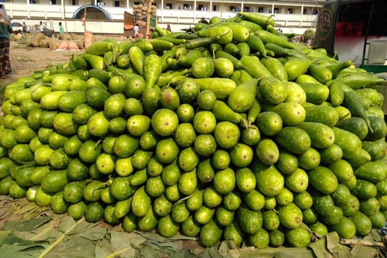 野菜卸売市場のひょうたんの山