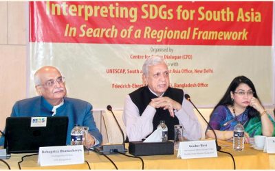 南アジア協力枠組の専門家