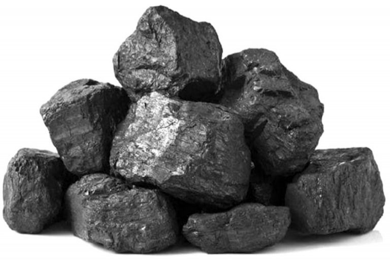政府は国営企業による新しい炭鉱の開発を計画しています