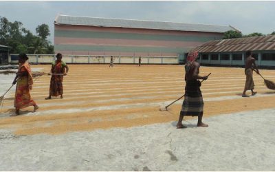 地元の工場から調達される米の量が減るため、労働者はナウガオンで暇な時間を過ごします