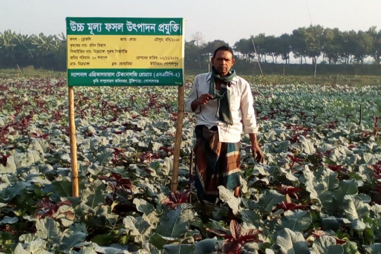 Gopalganj農家はブロッコリー栽培から利益を得る