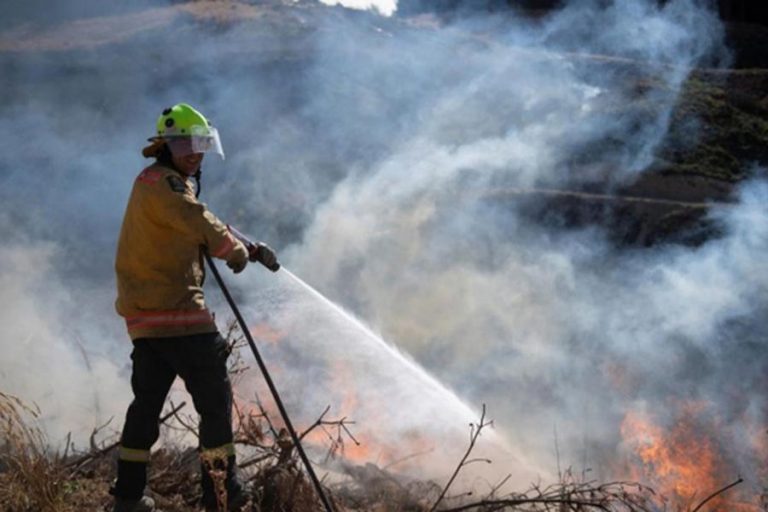 ニュージーランドの山火事は緩和の兆しを見せていない