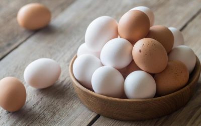急激な卵価格の上昇はBogura農民を幸せにする