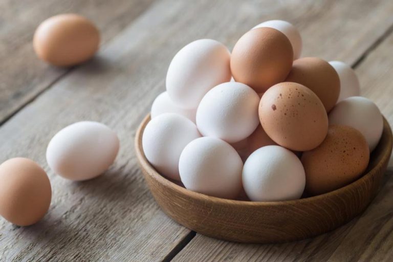 急激な卵価格の上昇はBogura農民を幸せにする