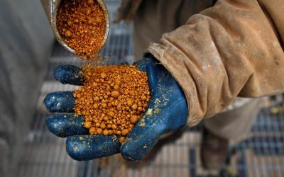 中国は米国の蒸留酒穀物のアンチダンピング関税を見直す