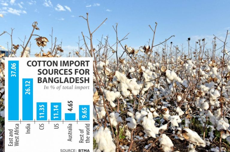 インド綿花への依存度減少