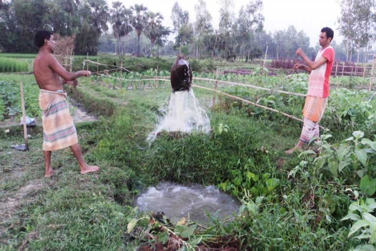 彼らの野菜畑に水をまく農家