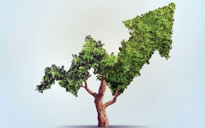 BBはグリーンボンドで外国投資の可能性を見ている