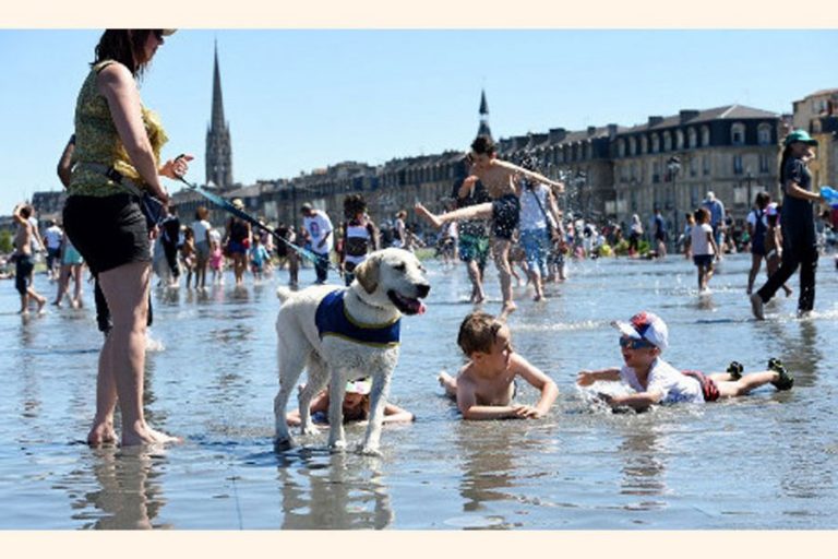 フランスの熱波は6月の記録を破る可能性がある