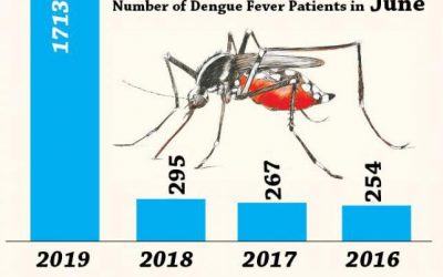 デング熱患者35万人以上に